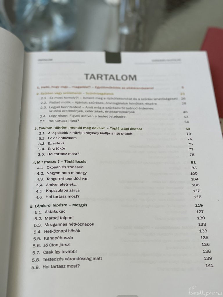 Pályaorientációs pályázat 31